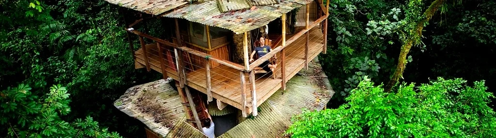 Hotel dans la canopée
