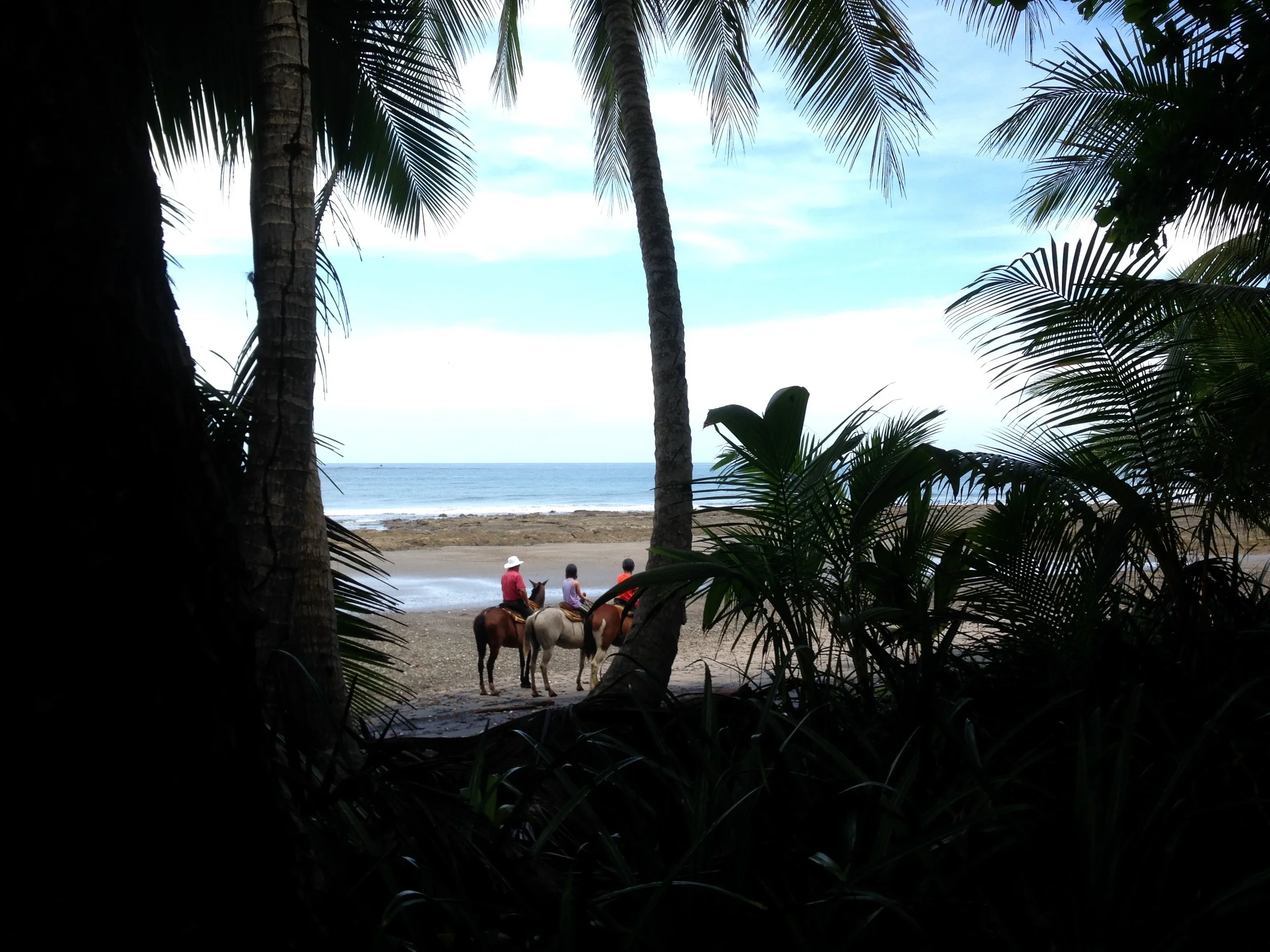 Chevaux à la plage, Puntarenas