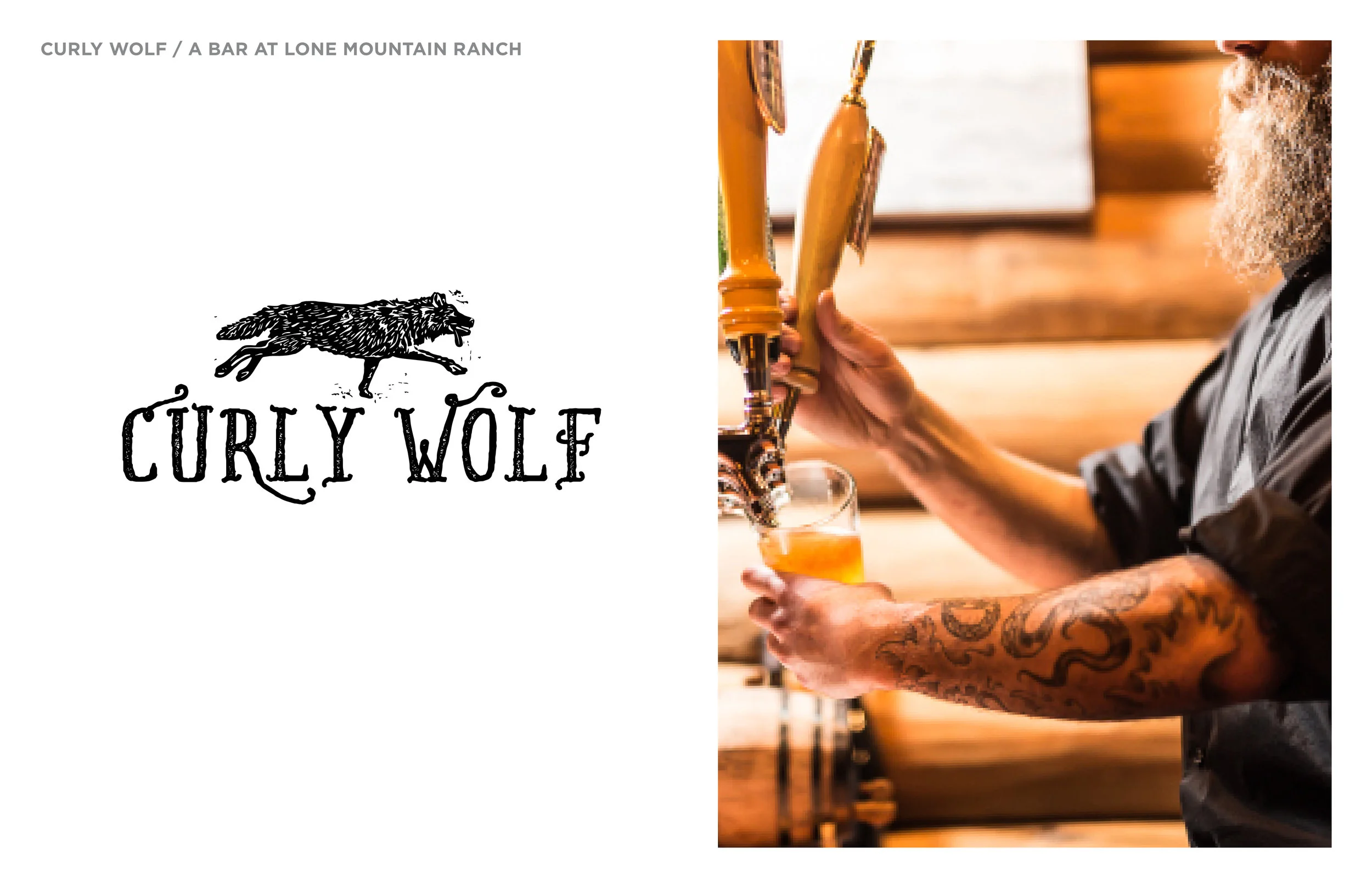 CurlyWolf_SLIDE.jpg
