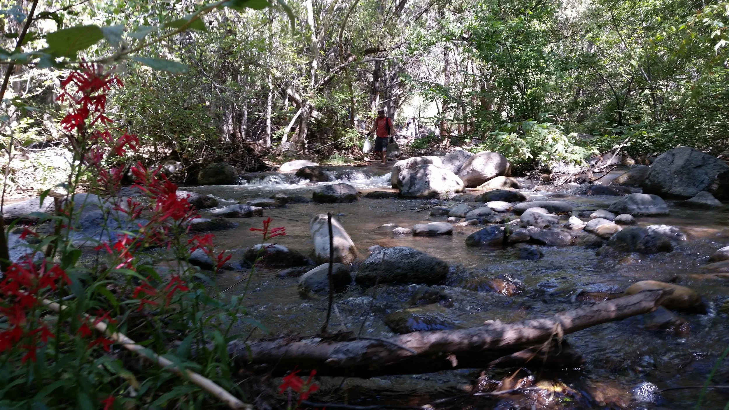 20180915_104955.jpg