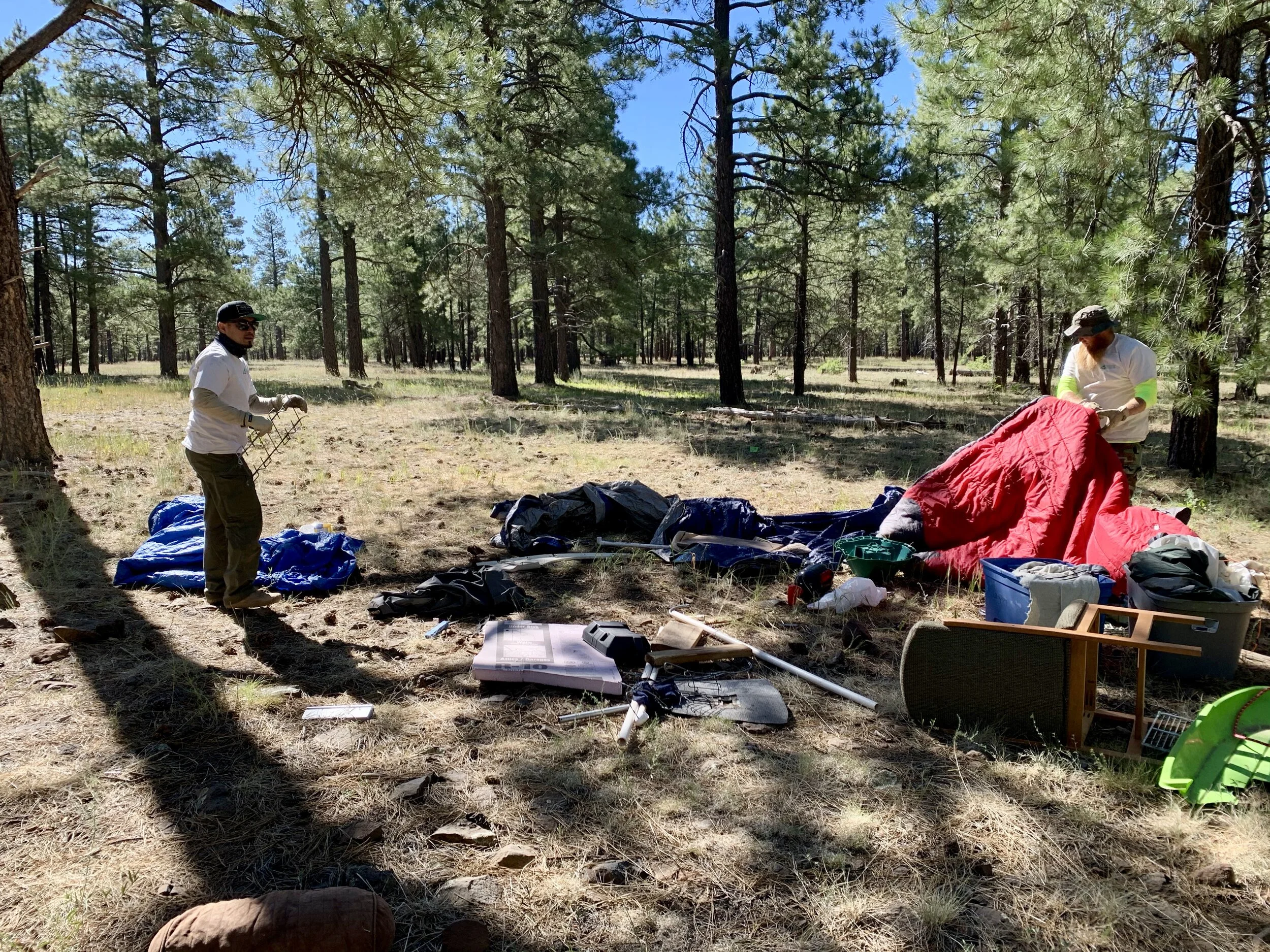 Mormon Lake Munds Park 2020 — Natural Restorations