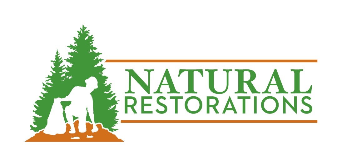 Natural Restorations