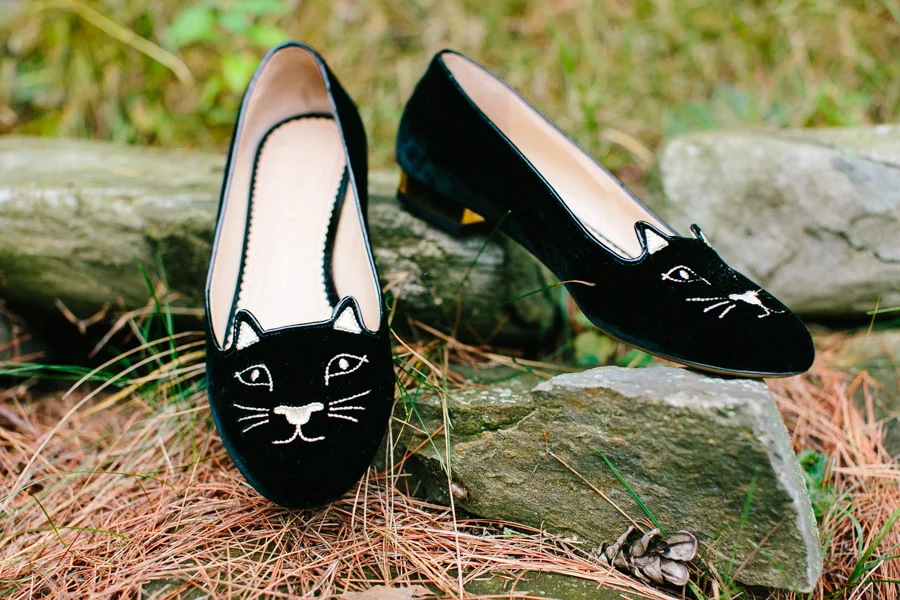 Cat Wedding Details
