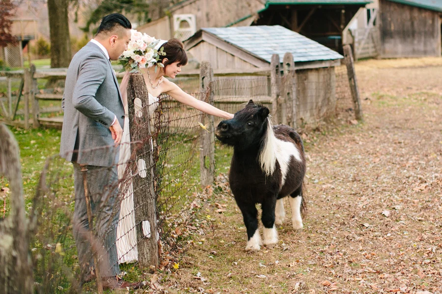 Intimate Farm Wedding