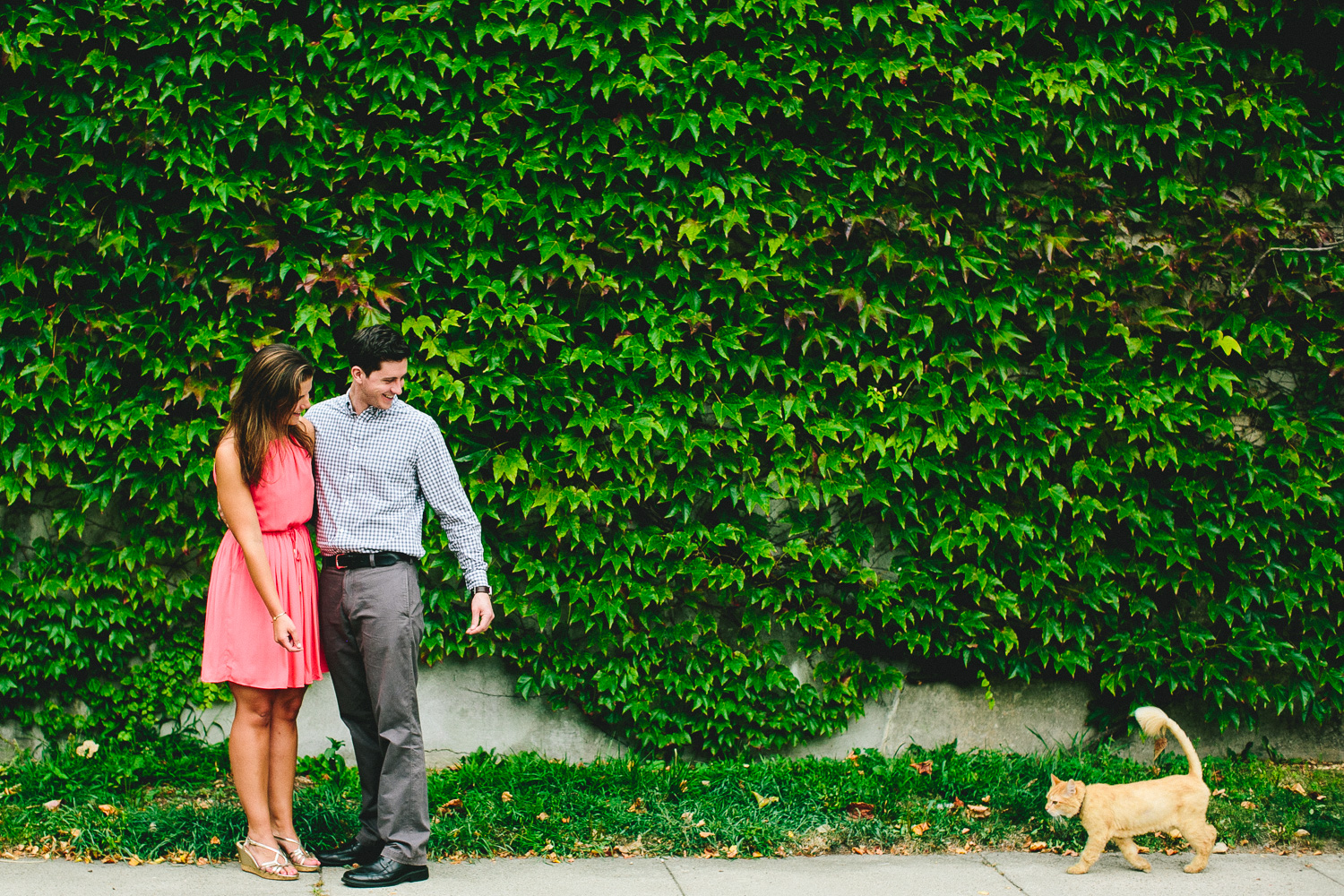 Stray Cat Engagement Session
