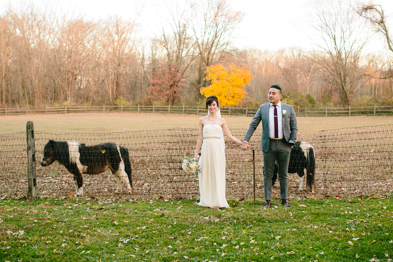 Pony Wedding