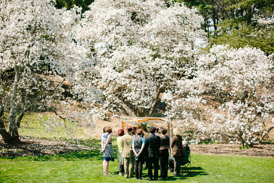008-arnold-arboretum-wedding-photography.jpg