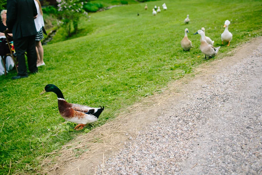 045-ZacWolfPhotography-20150524-Blog.jpg