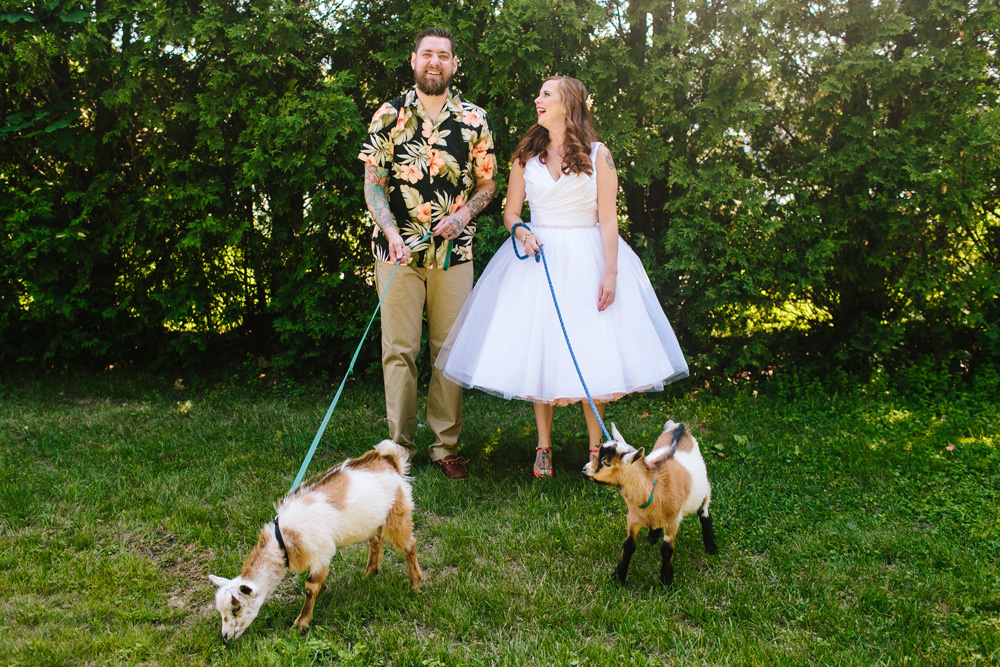 019-wedding-goats.jpg
