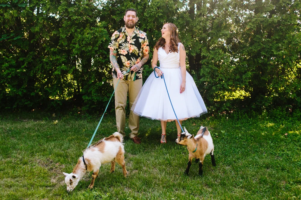 019-wedding-goats.jpg