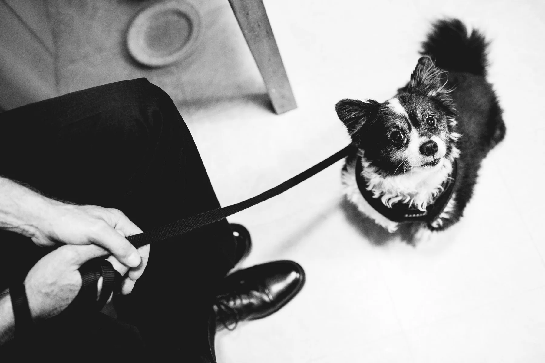 003-ZacWolfPhotography-20150627-Blog.jpg