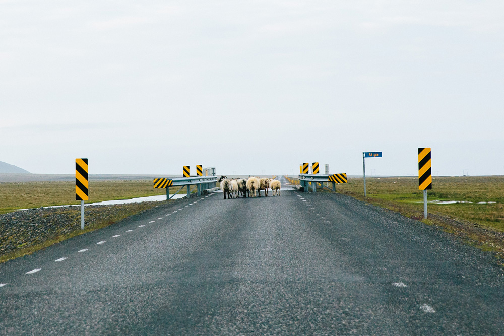 024-iceland-ring-road.jpg