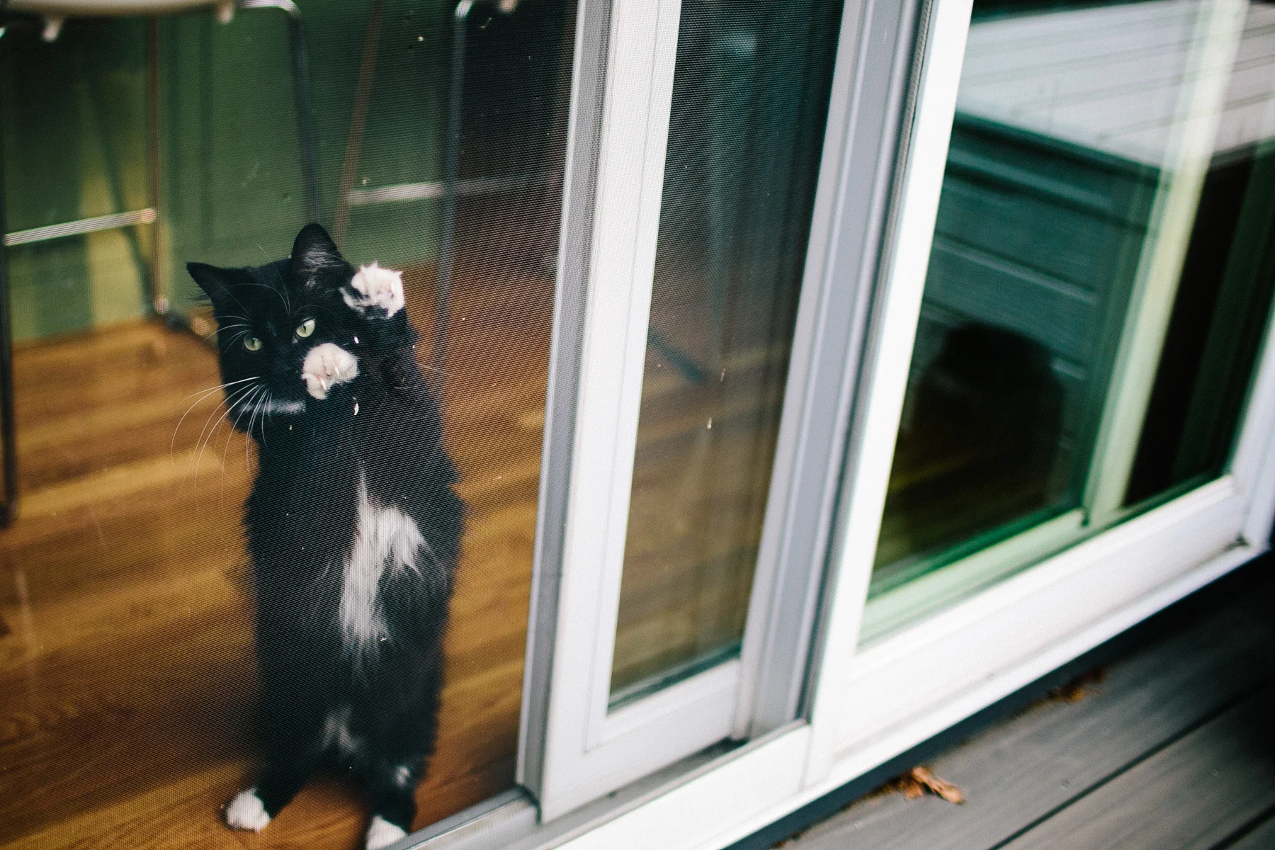 005-ZacWolfPhotography-20150713-Blog.jpg