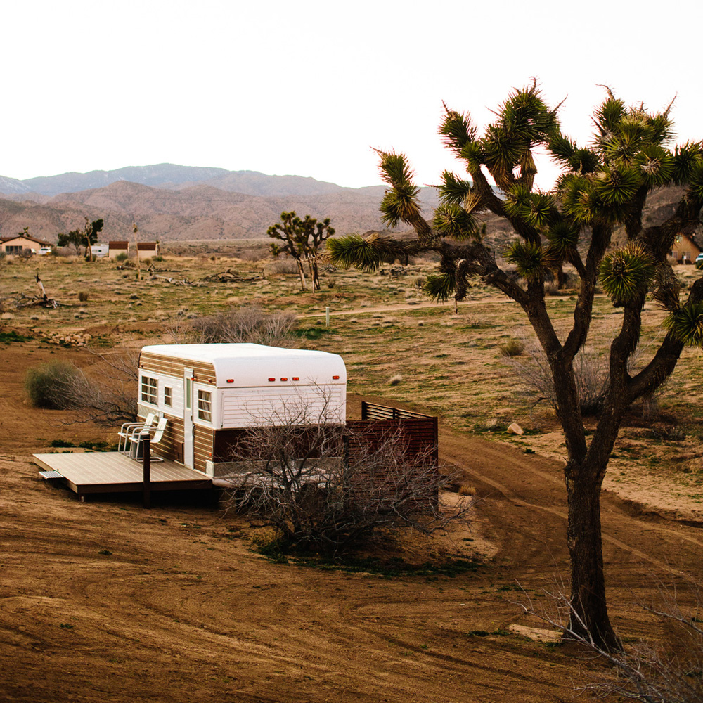 008-joshua-tree-wedding-photographer.jpg