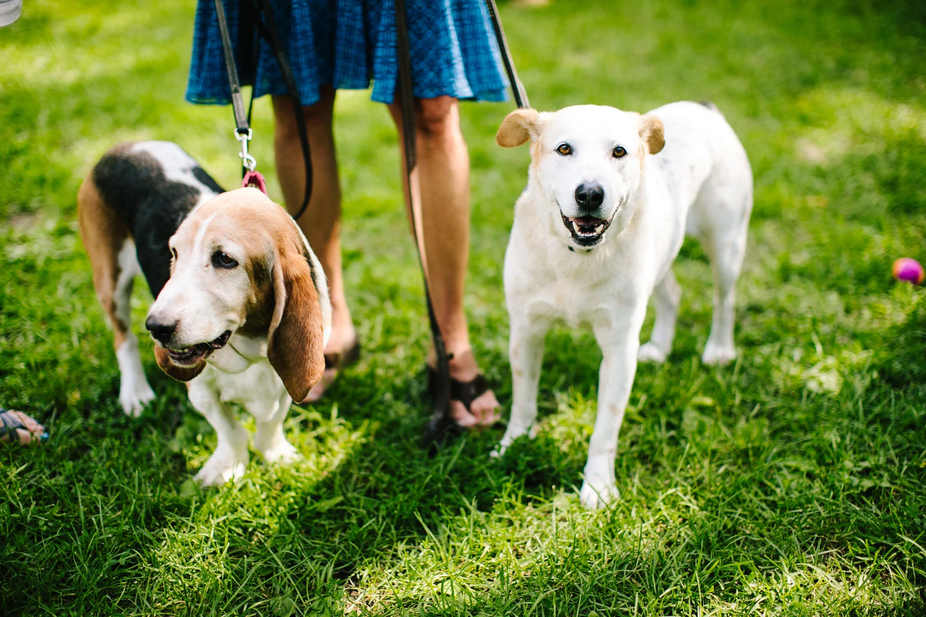 018-ZacWolfPhotography-20170709-Blog.jpg