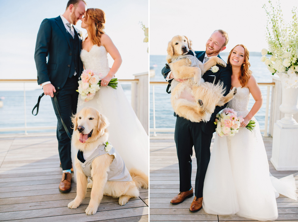 070-dog-wedding-photo.jpg