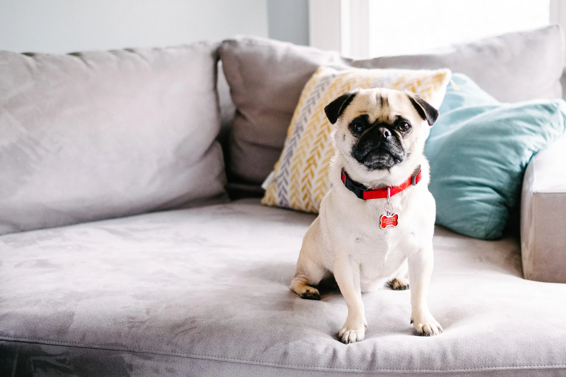 002-ZacWolfPhotography-20190503-Blog.jpg