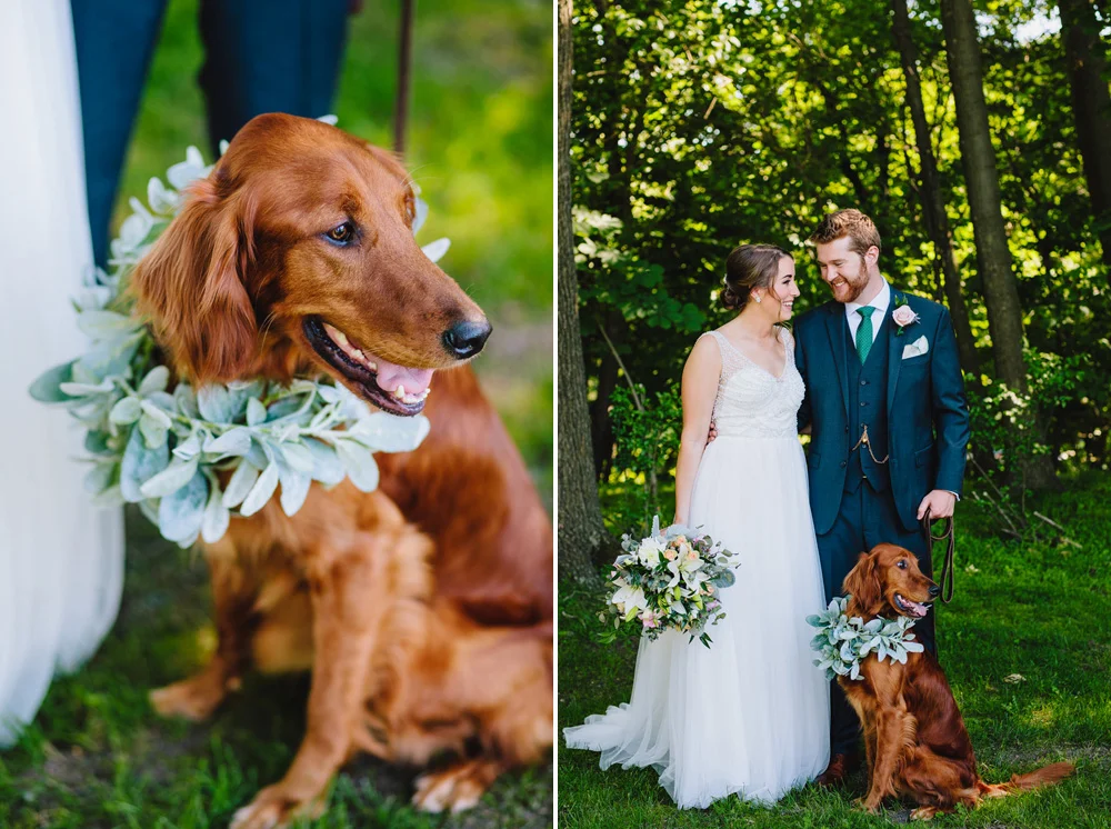 028-wedding-dog.jpg