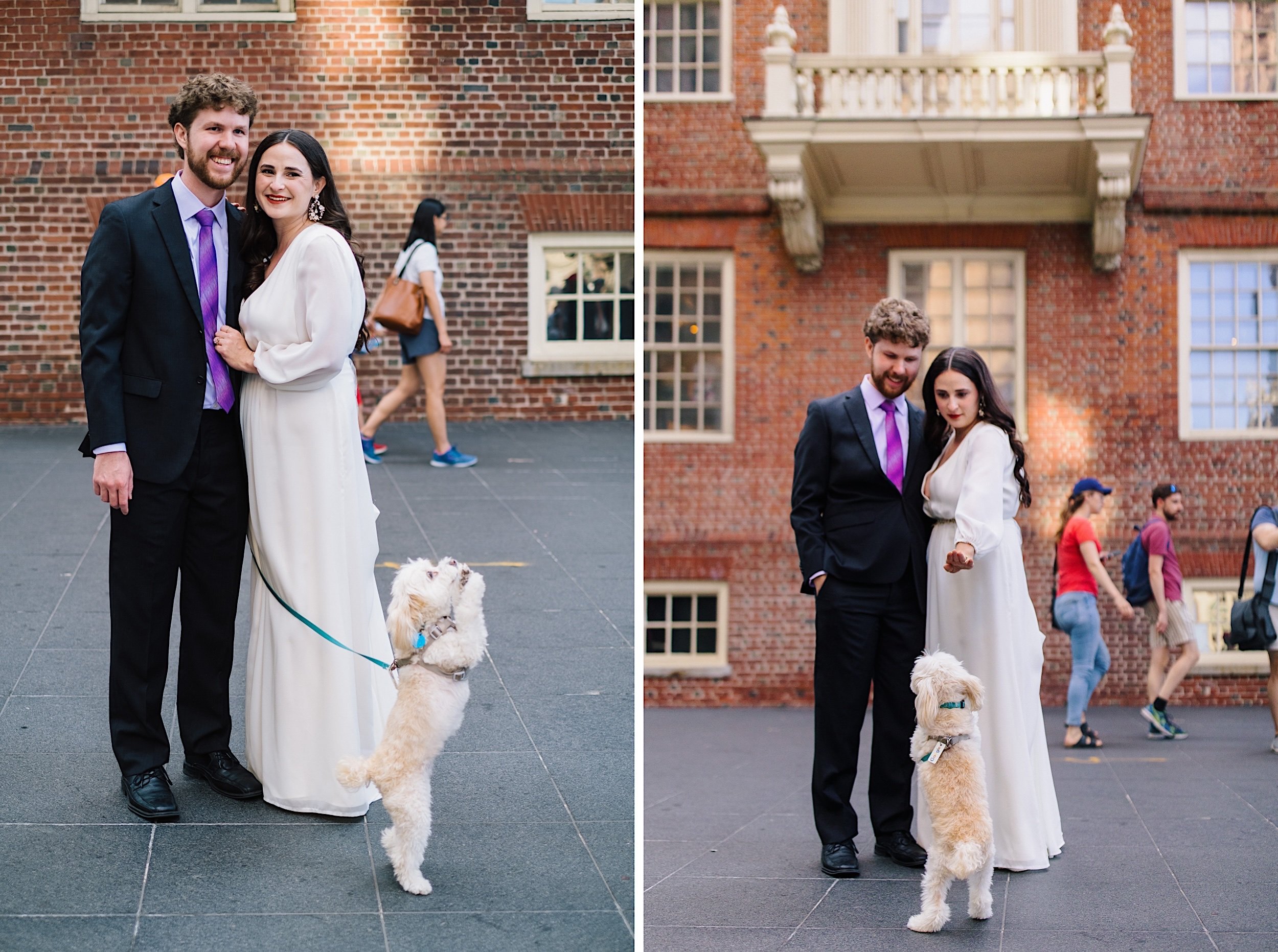 08_orlando dog wedding.jpg