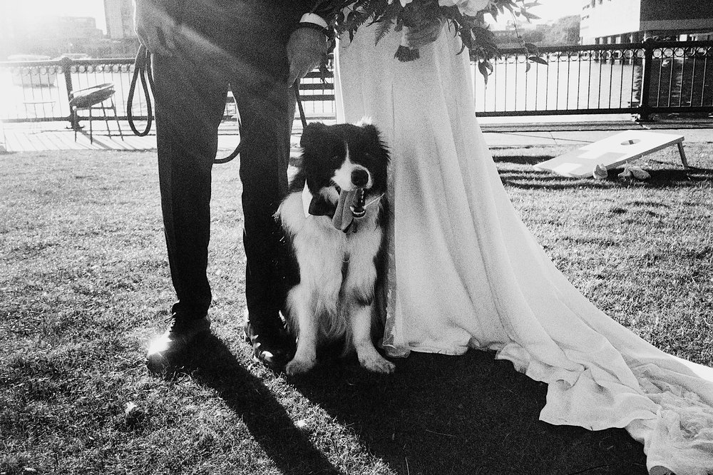 Film-ZacWolfPhoto-2_Bride and groom on the dancefloor.jpg