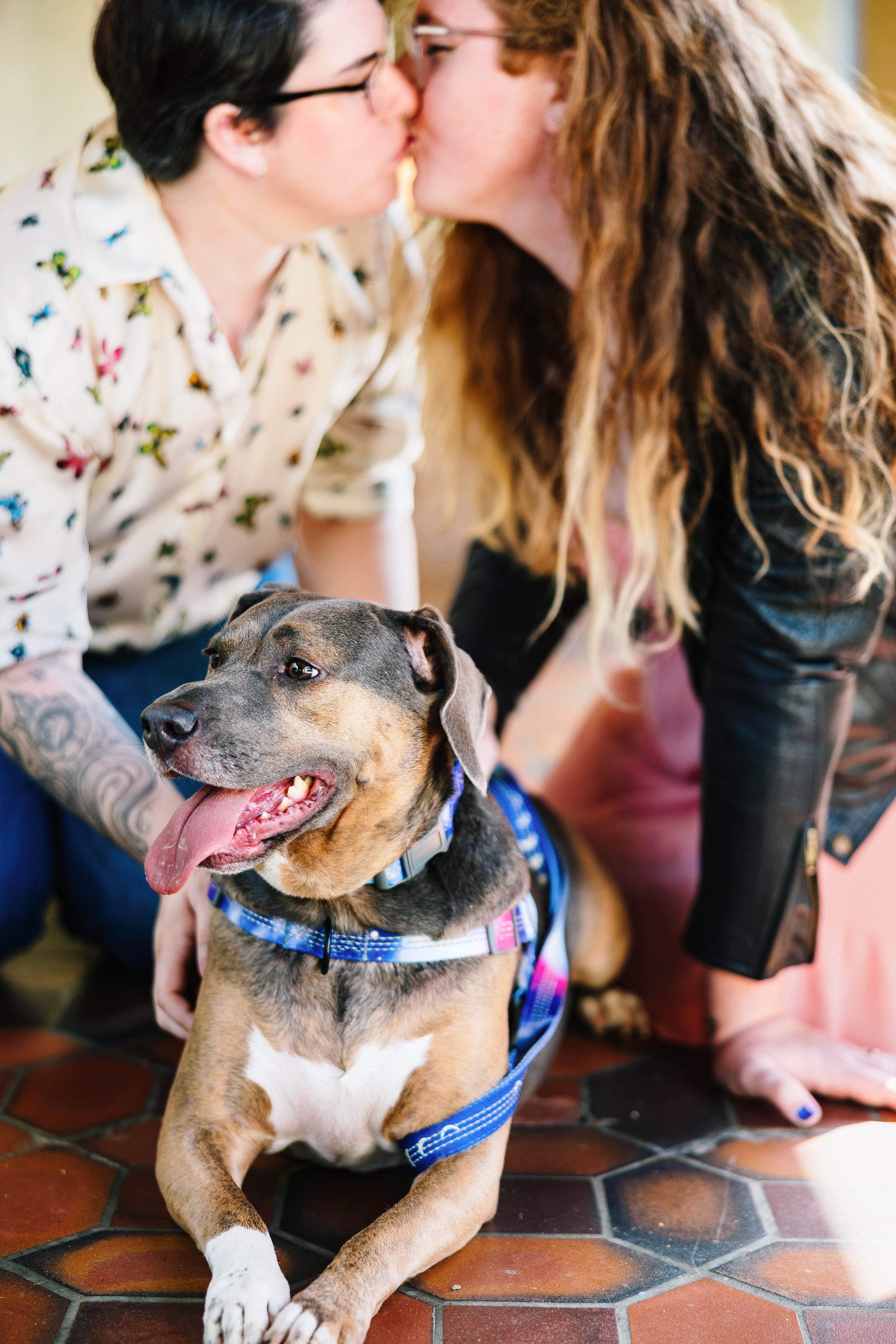 Orlando couple kissing a dog on the floor.