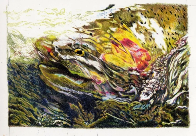 trout in progress.jpg