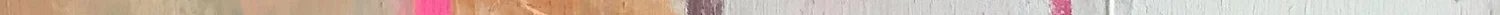 img-divider-2.jpg
