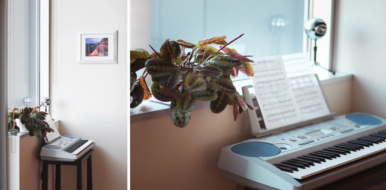 Prayer Plant next to my keyboard