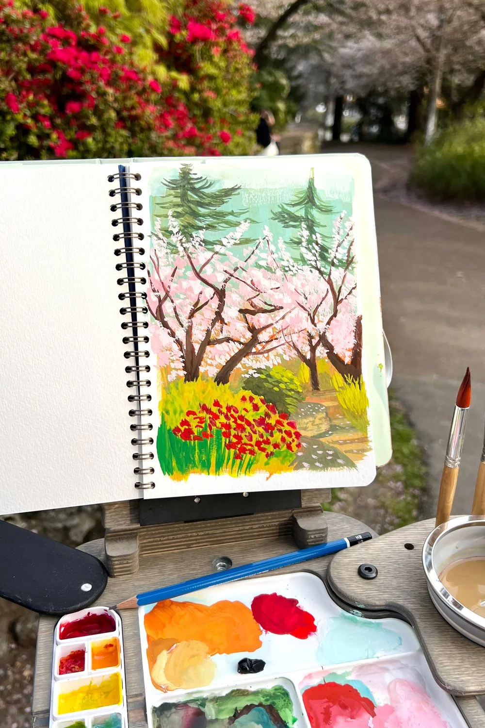 2026_04_04_KobeTerrace_CherryBlossoms.jpg