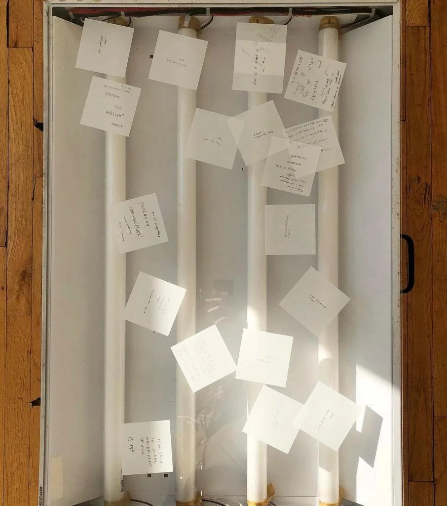 nothing special, really