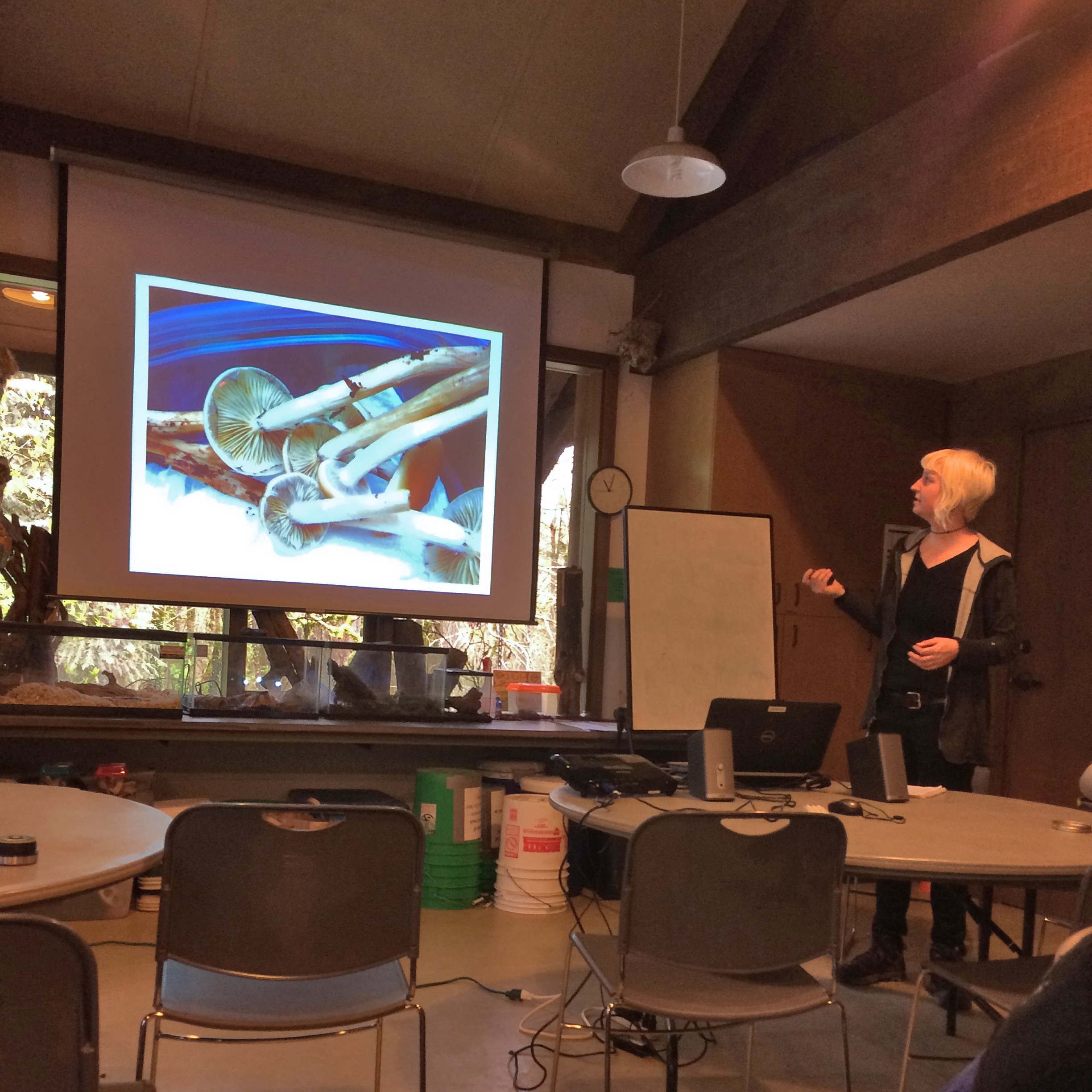 Leah quizing the team about mushroom features