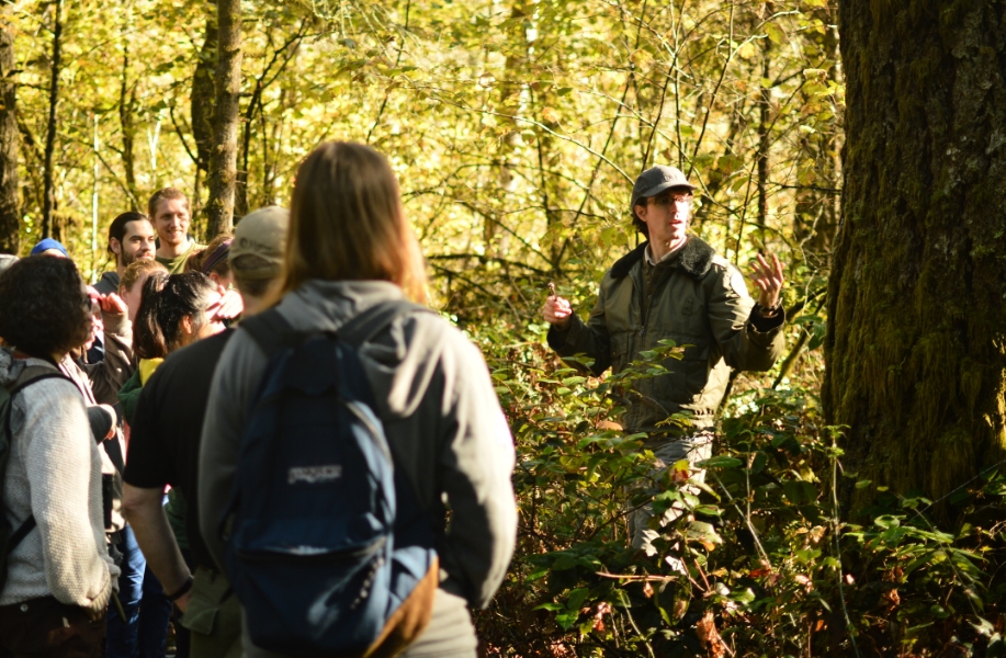 Dan Daly teaching about tree pitch