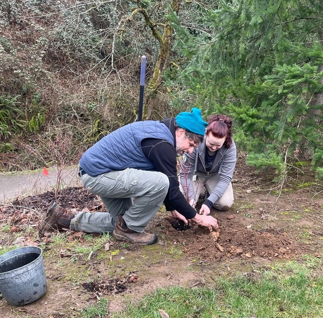 A man and a woman kneel around a tree sapling which has been placed in a hole in the ground. The man is speaking.