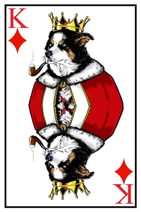 High Card Sponsorship