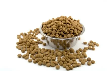 Round of Kibble