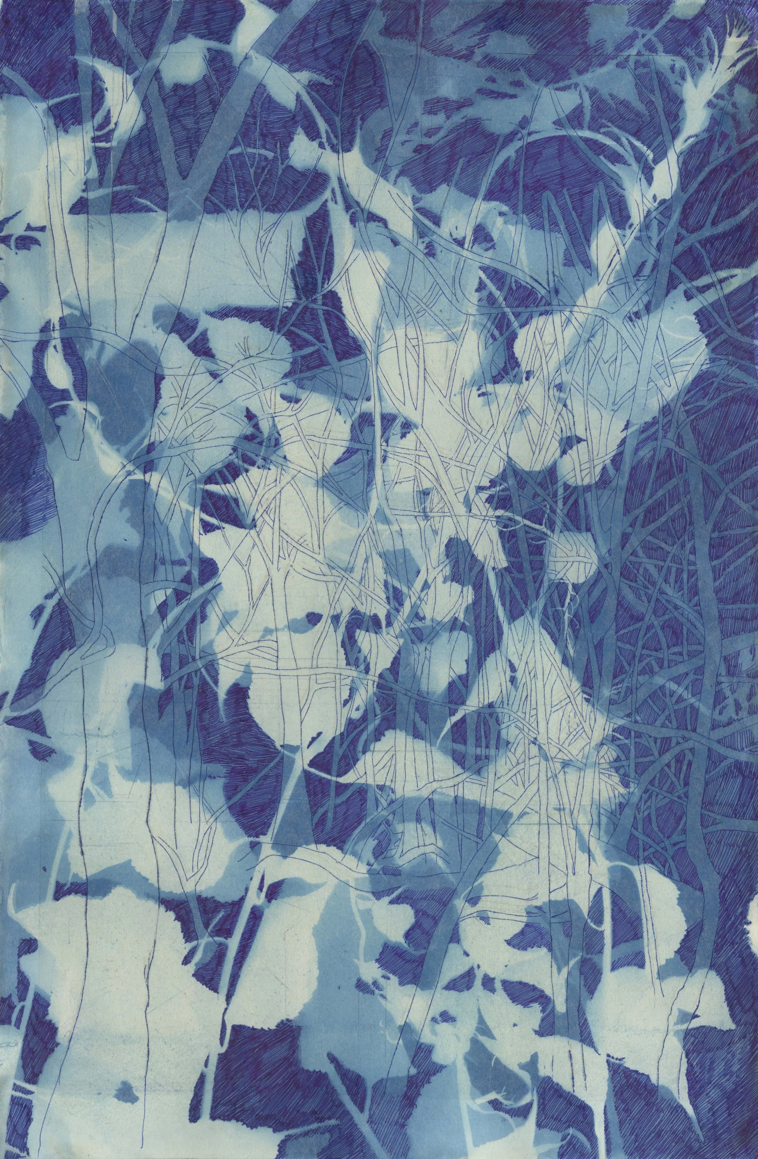 Open All The Windows And Sit Near One Of Them (Bittersweet and Buckthorn)