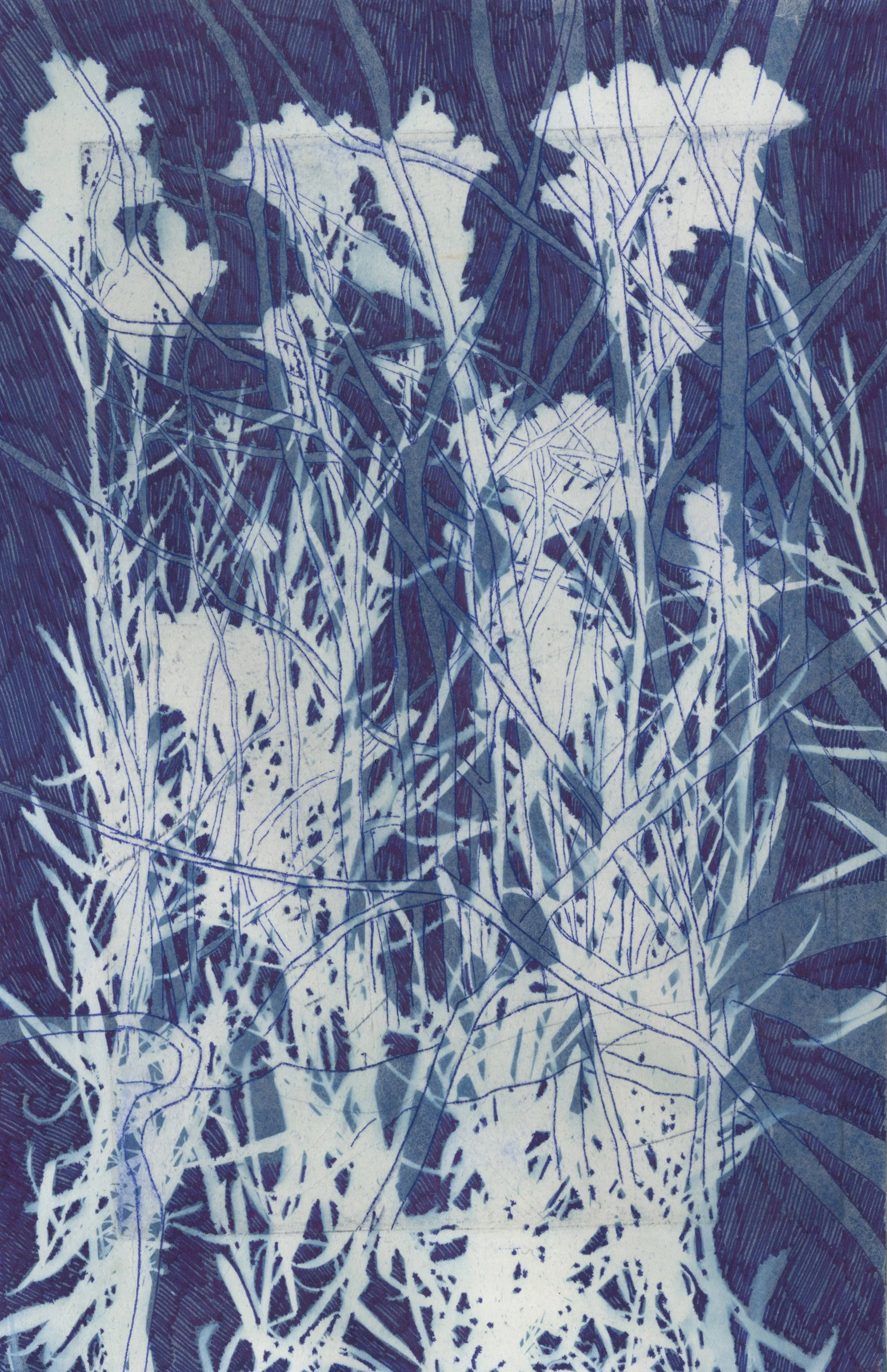 Soft Carefully Shaped Words Are Curtains Hung Before Nothing At All (Toadflax and Buckthorn)