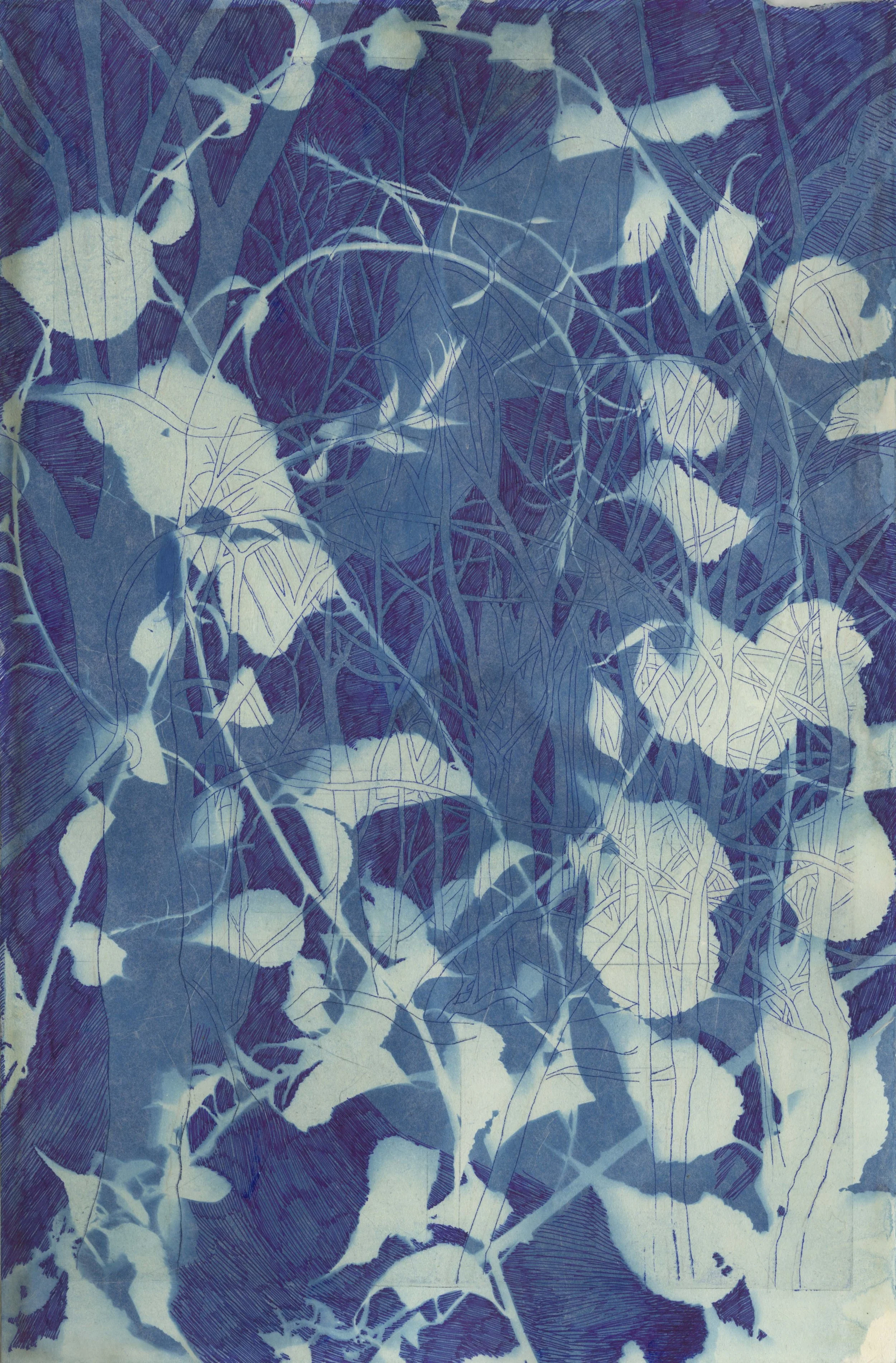 This Time Last Night We Were Dancing (Bittersweet and Buckthorn)