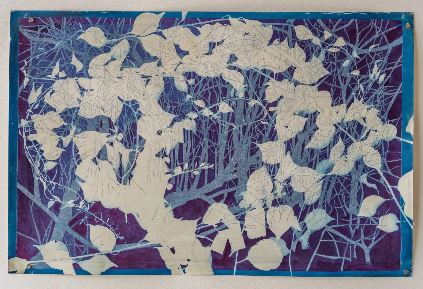 Concealed Voices Singing Like The Whine of Arrows (Bittersweet and Buckthorn)