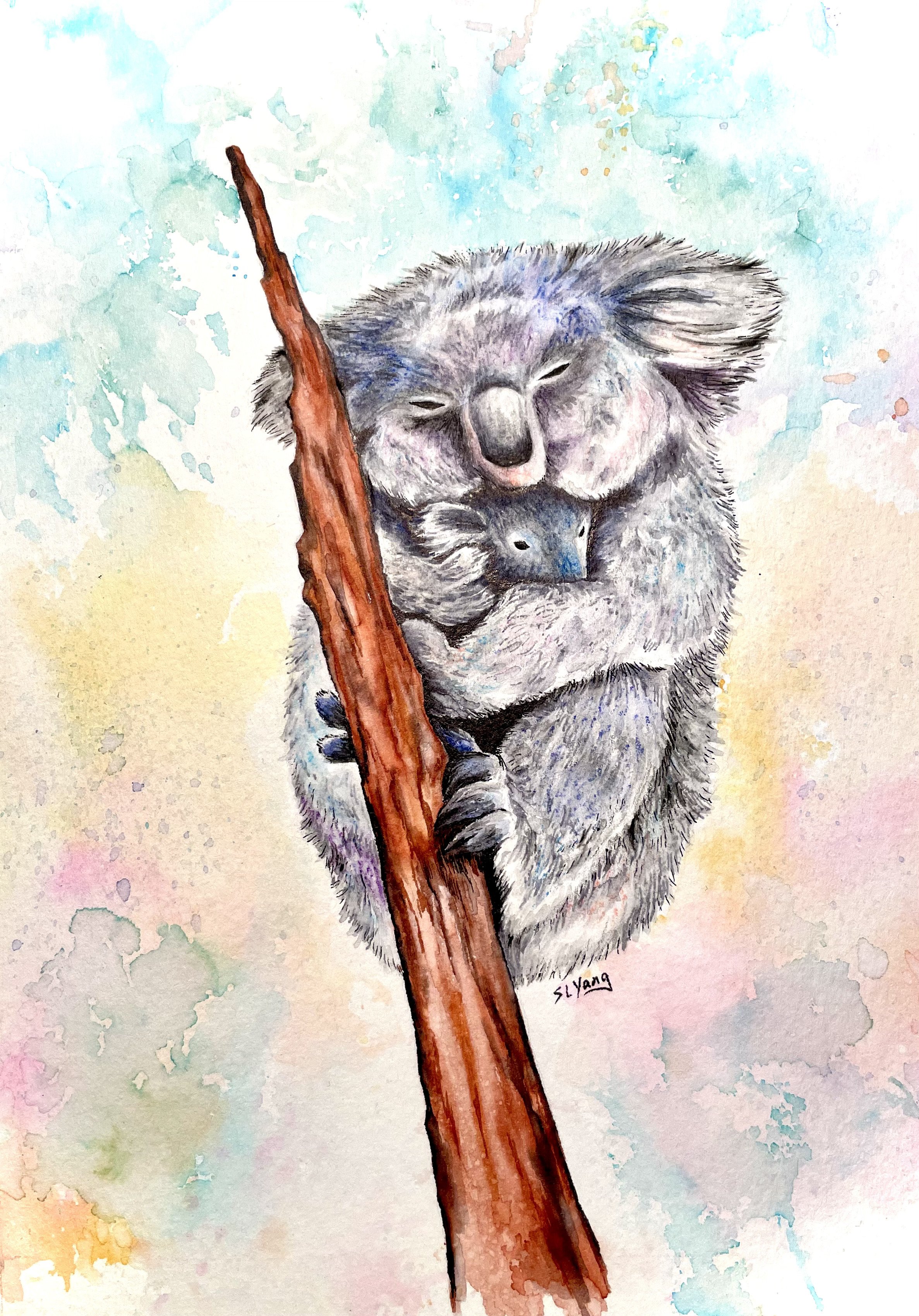 Koalas_final.jpg