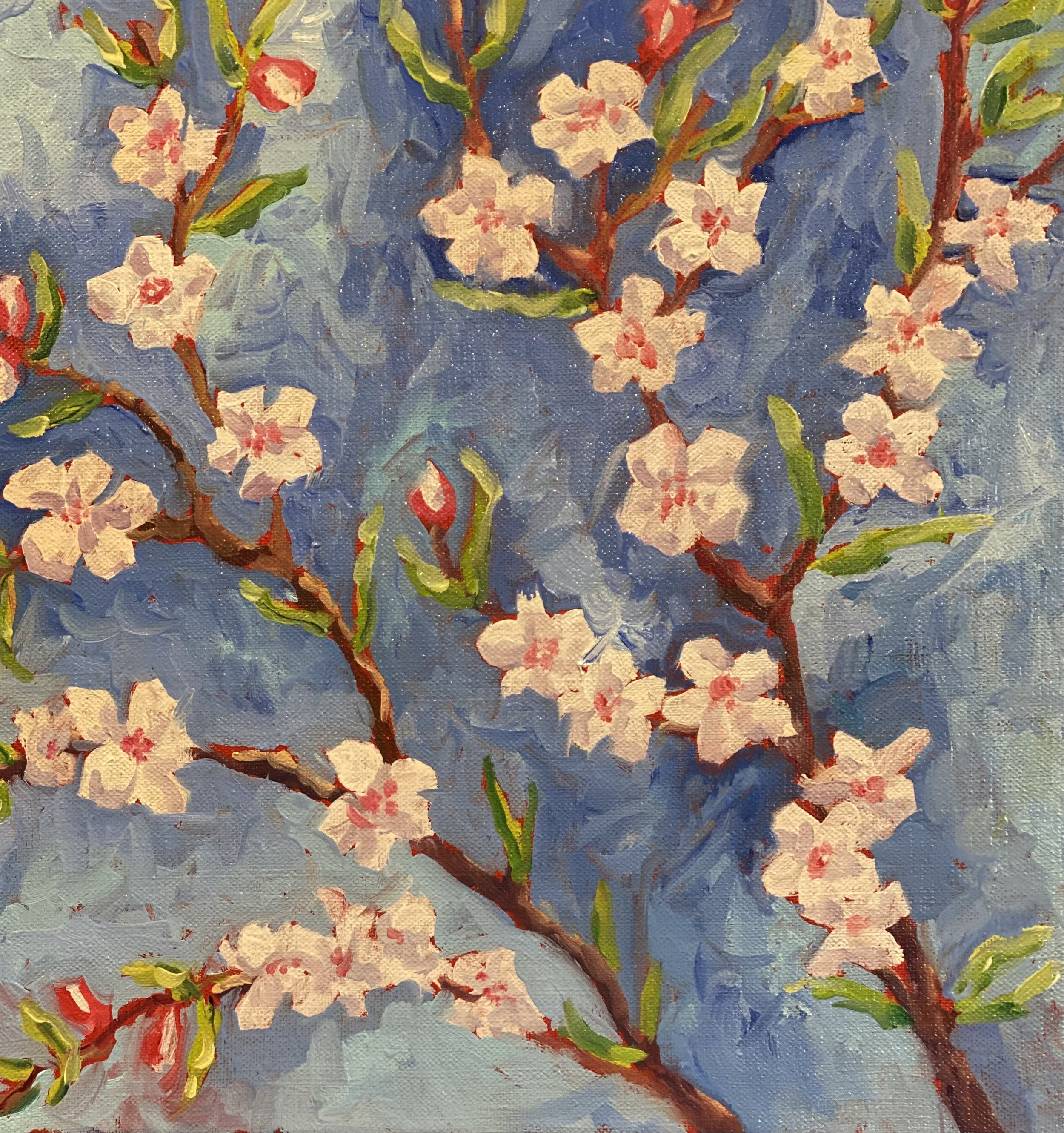 Almonds in Bloom.jpeg