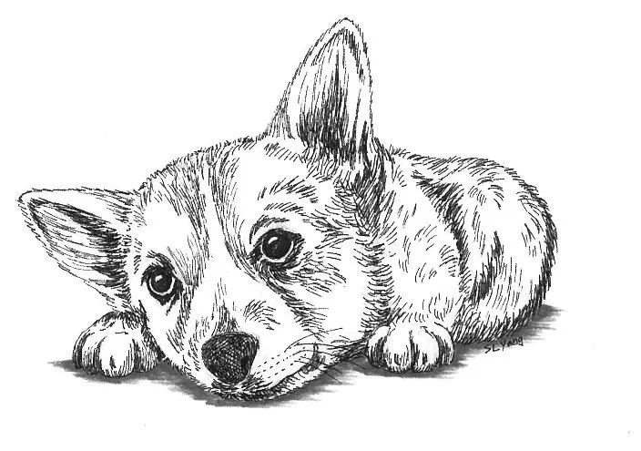 Pensive Puppy.jpg