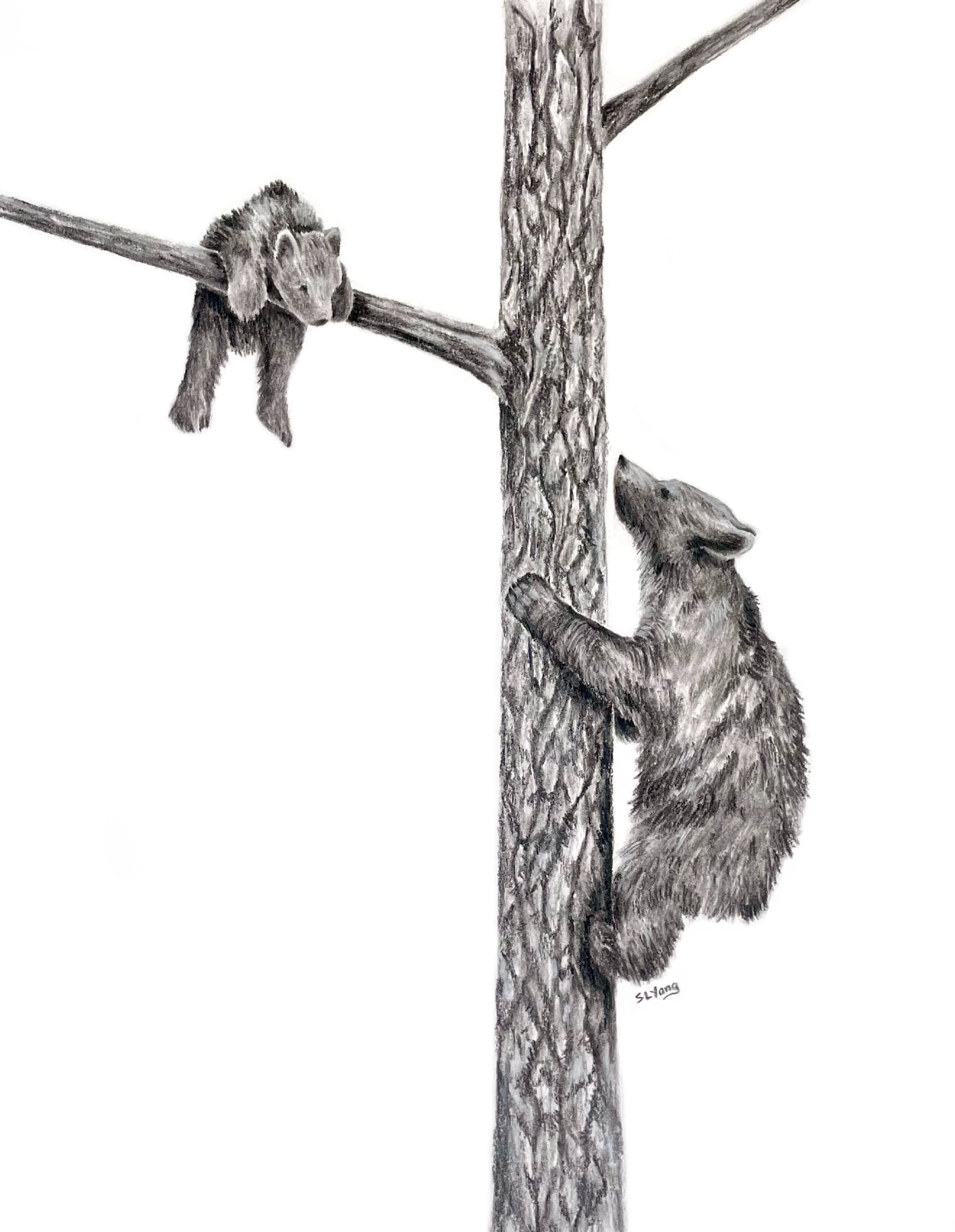 Help Is Near.png