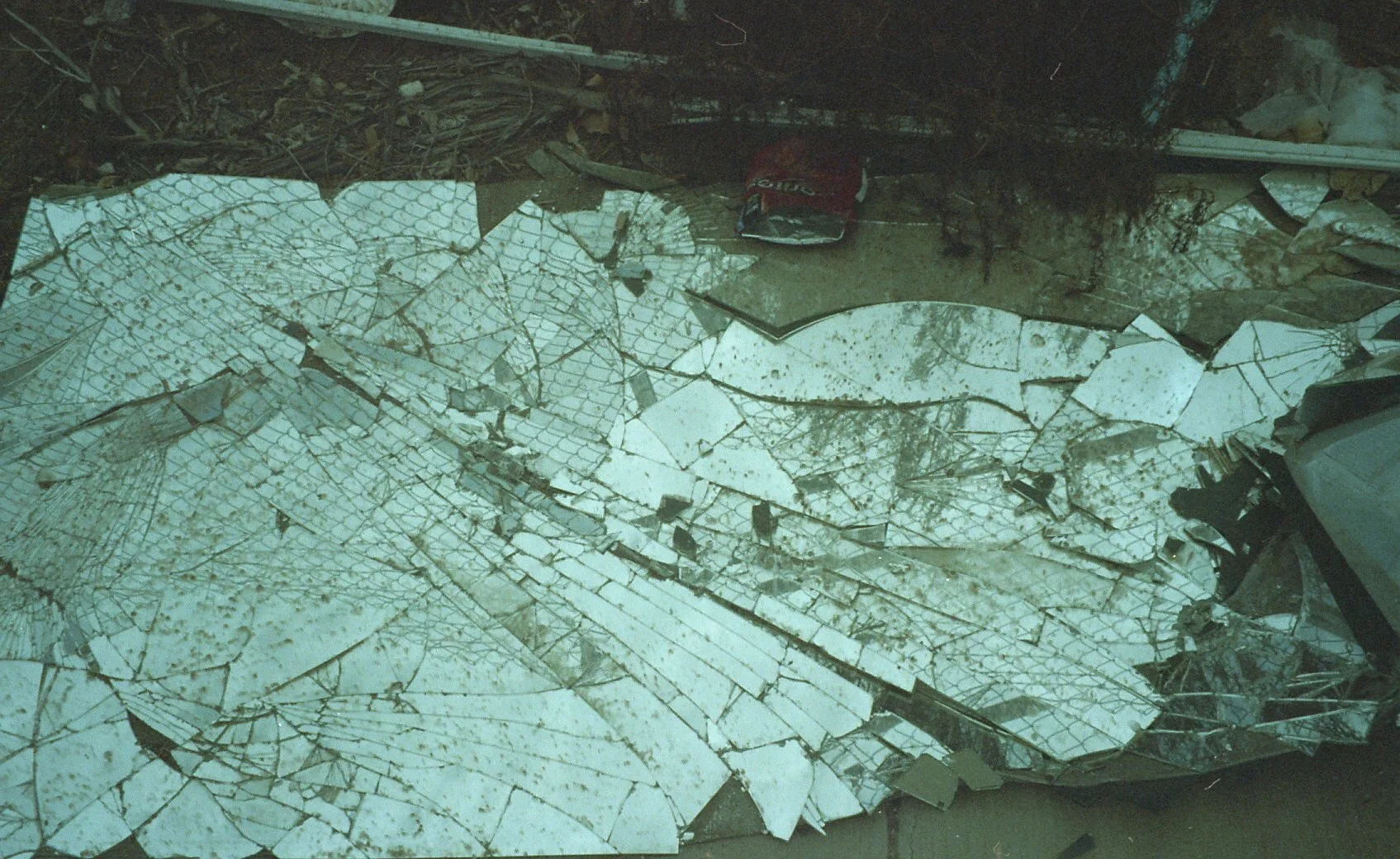 spring18068.jpg