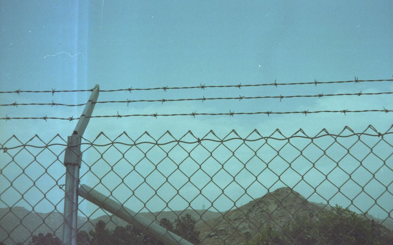 spring18070.jpg