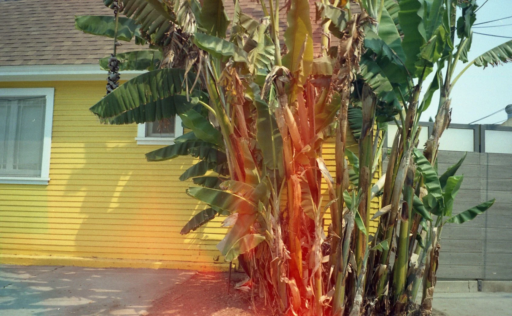 summer18024.jpg