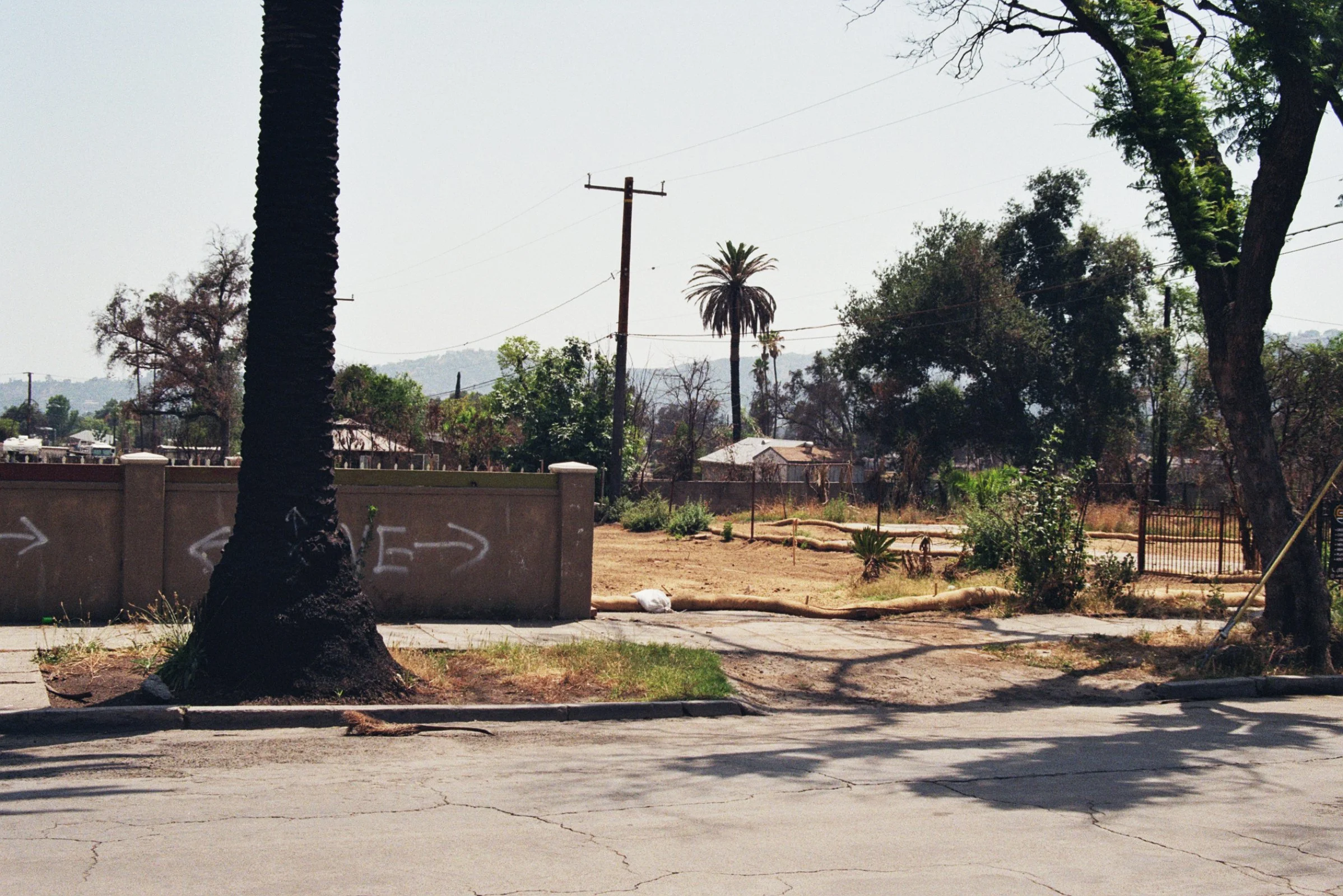 34A_00596.jpg