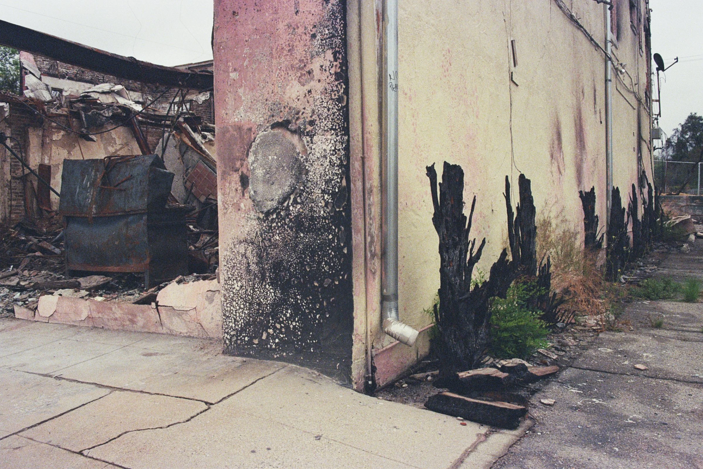 28A_00796.jpg