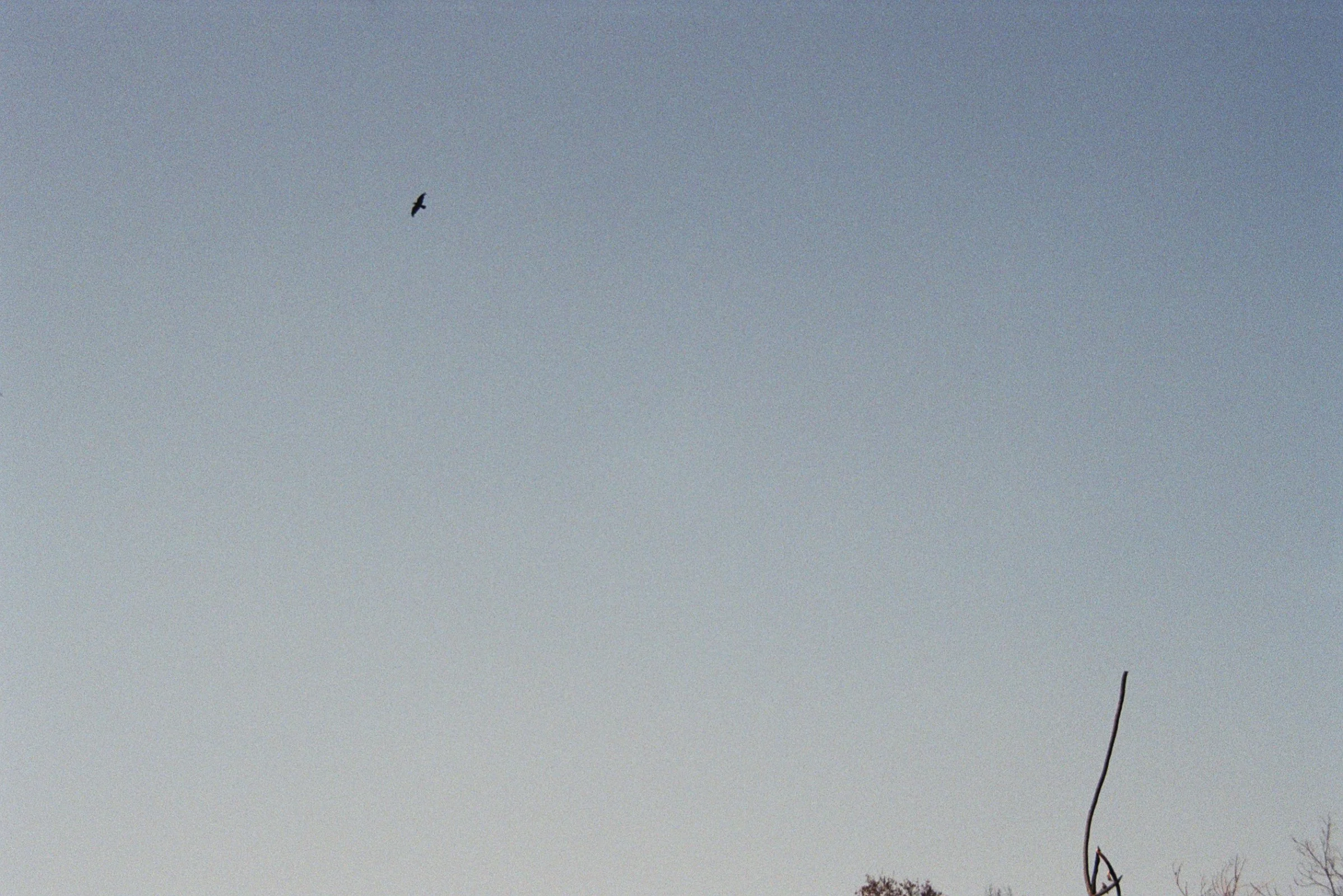 5A_00664.jpg