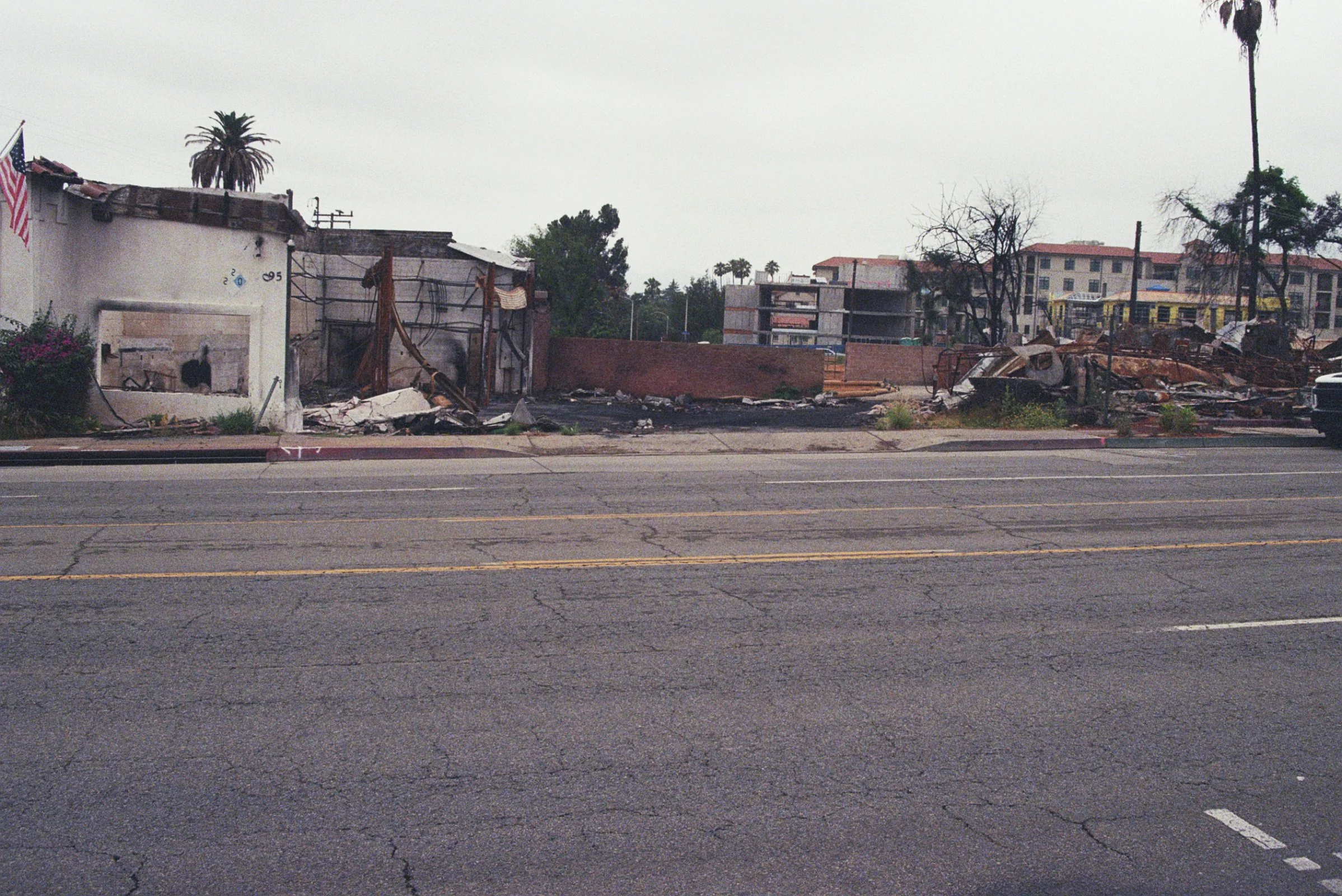 31A_00793.jpg